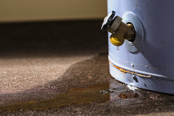 Best Ceiling water damage repair  in Mocksville, NC