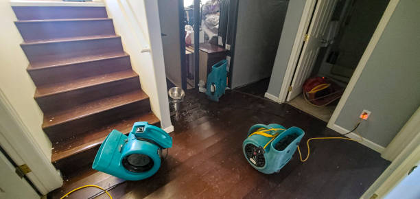 Best Water damage restoration near me  in Mocksville, NC