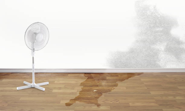 Best Water damage restoration insurance claims  in Mocksville, NC