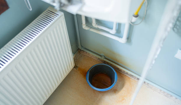 Best Mold removal after water damage  in Mocksville, NC